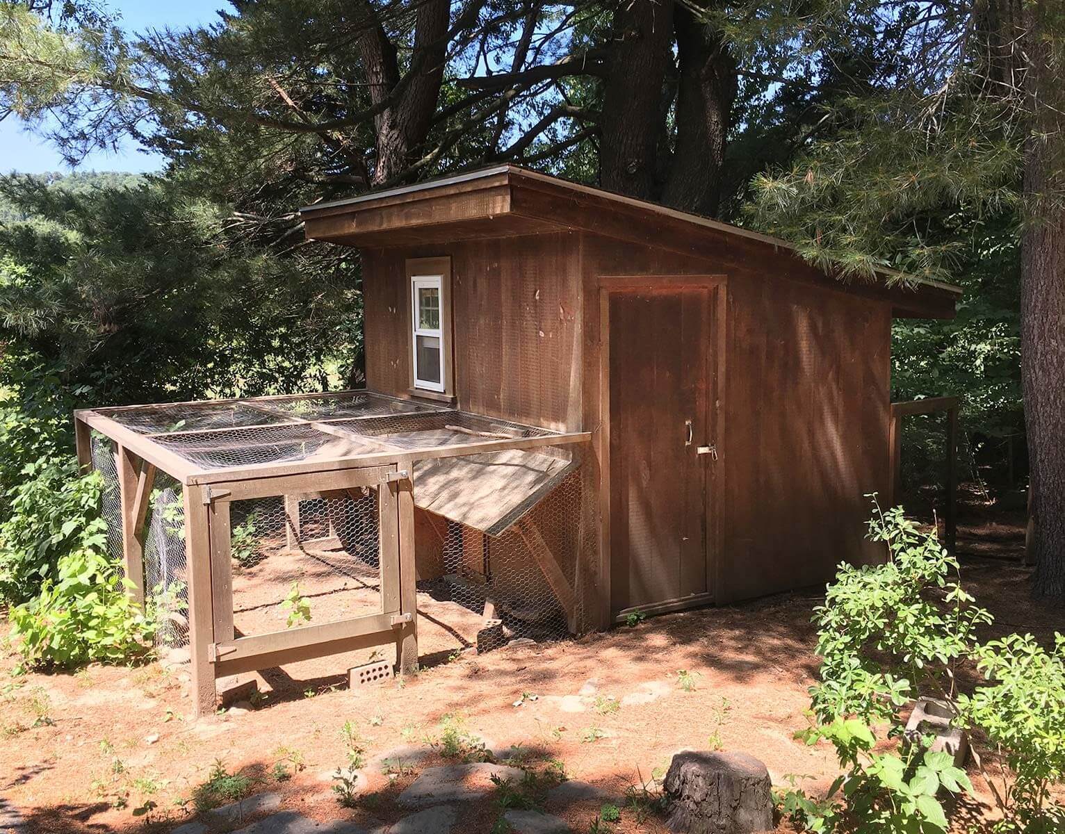 Chicken coup shed with door and one window connected to a chicken-wired run.